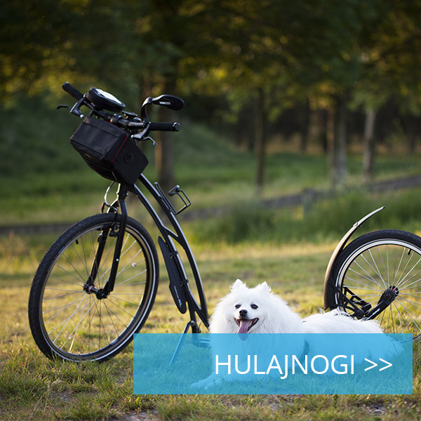 Hulajnogi