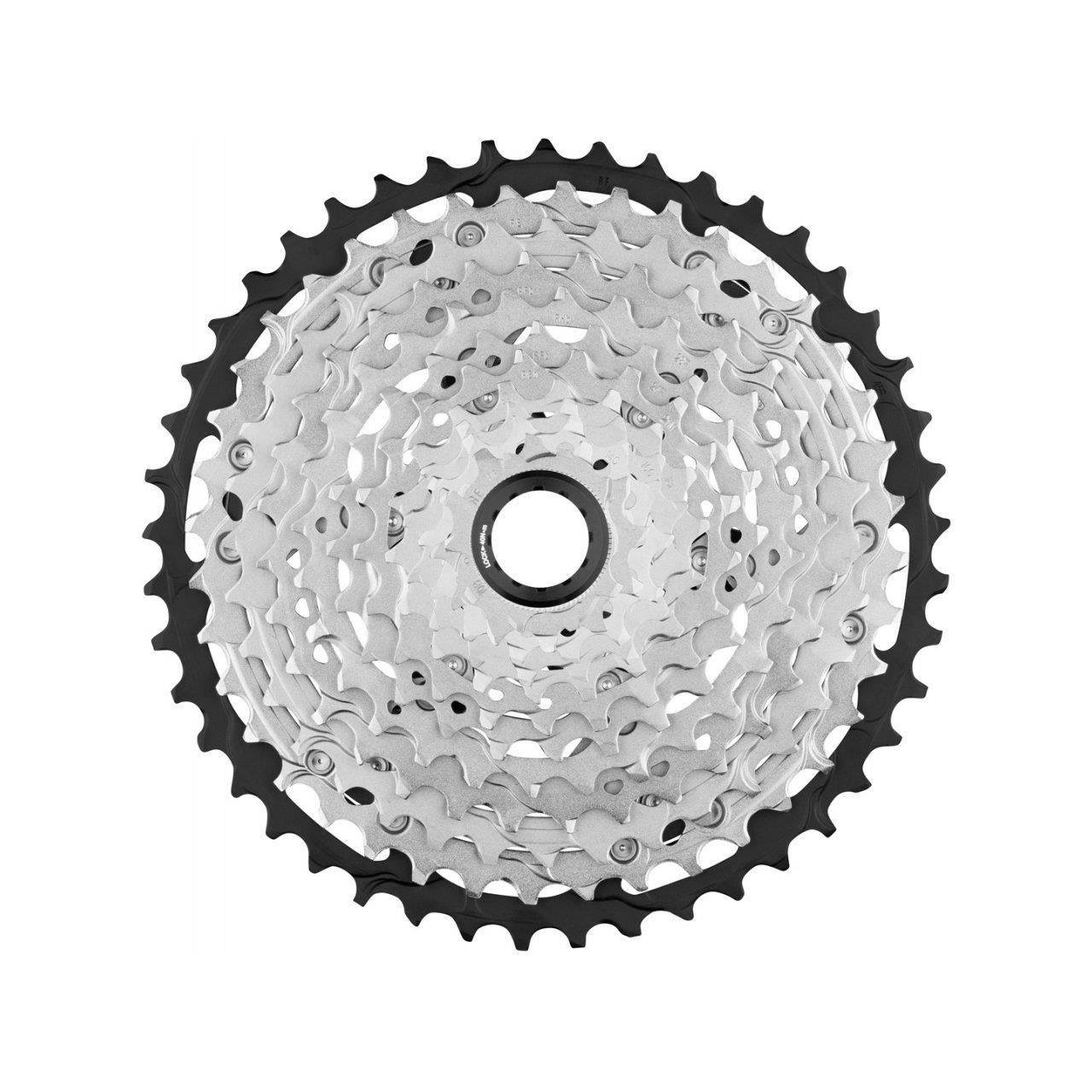C2